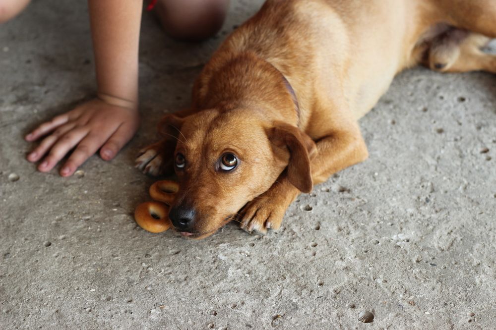 Я больше не буду