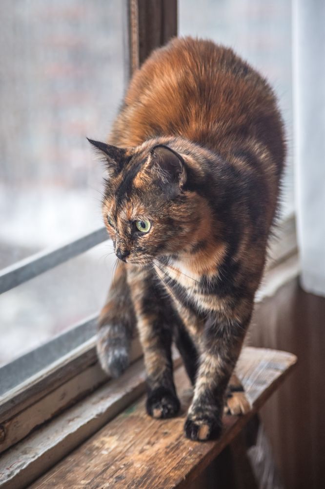 Photograph by Сергей Алексеев