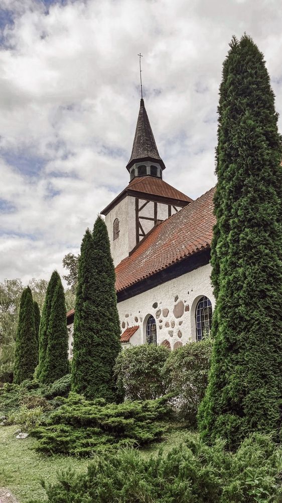 Фотография автора Елена Меньшикова