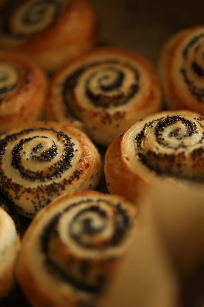 Photograph by Бальзирова Наталья