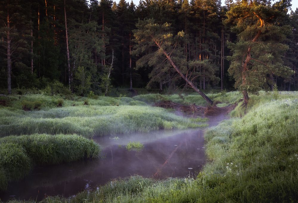 Photograph by Олег Герасимов