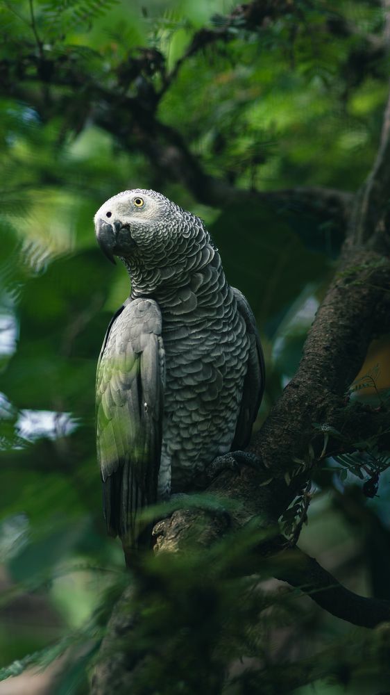 Photograph by Amir MIMART