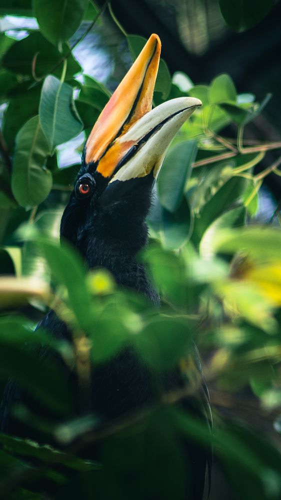 Photograph by Amir MIMART