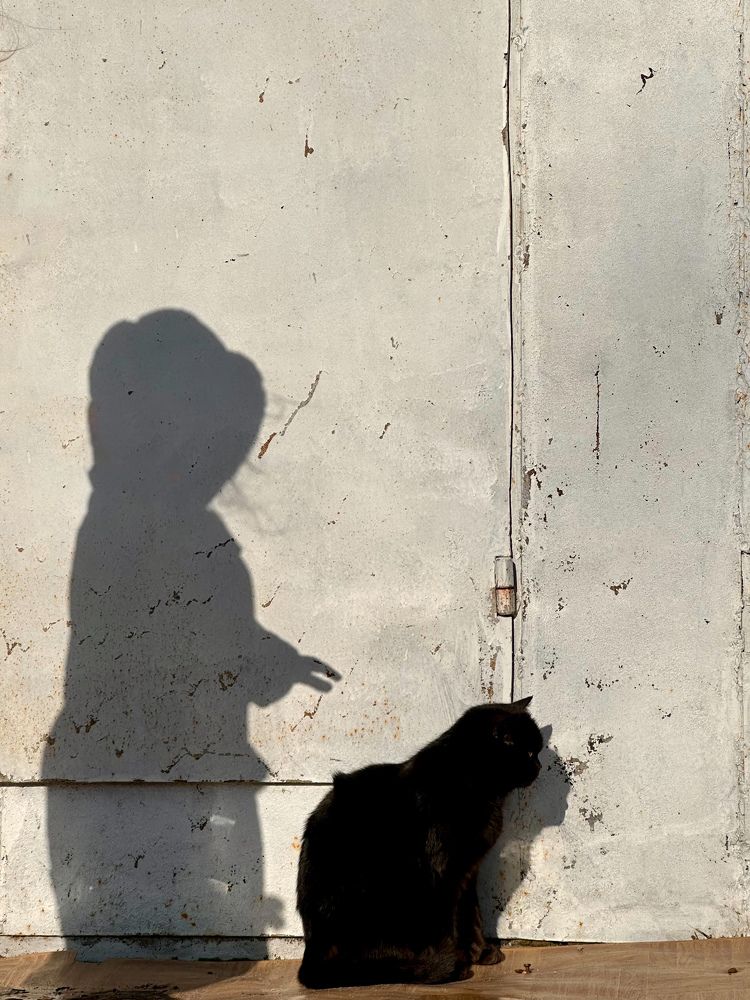 Photograph by Людмила