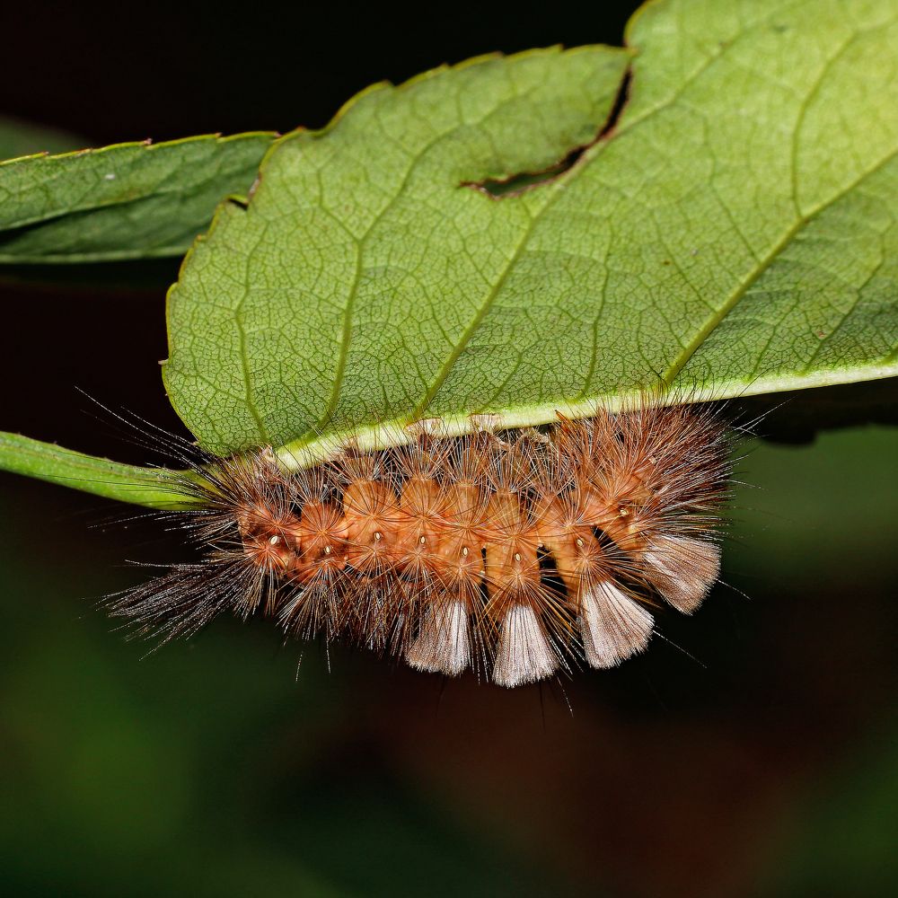 Photograph by Владимир Роля