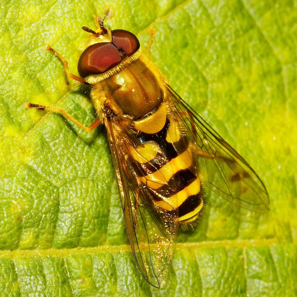 Photograph by Владимир Роля