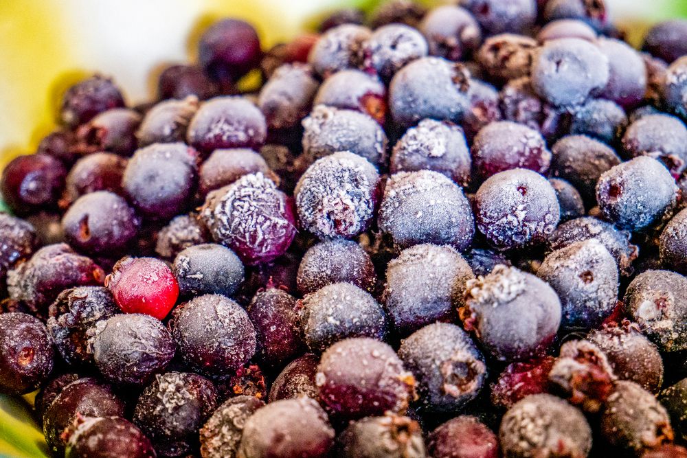 Photograph by Екатерина Шерабурко