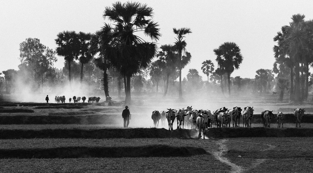 Photograph by Minh Khoa Vang