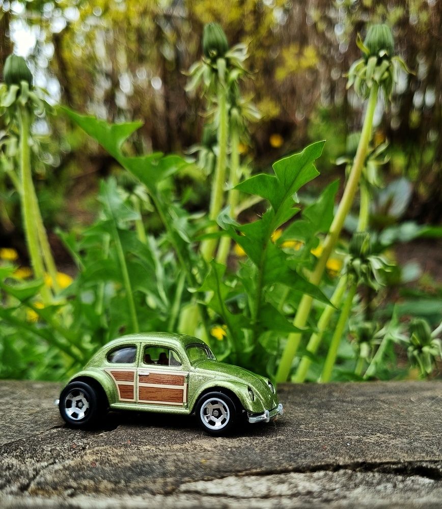 Путешествие машинки