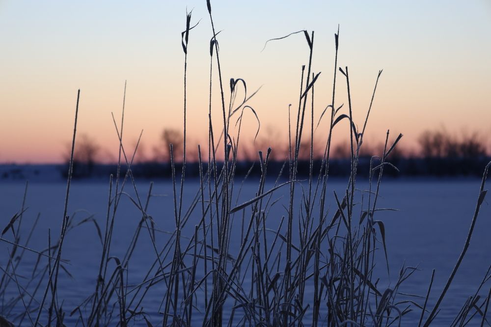 Photograph by Вячеслав Капцов