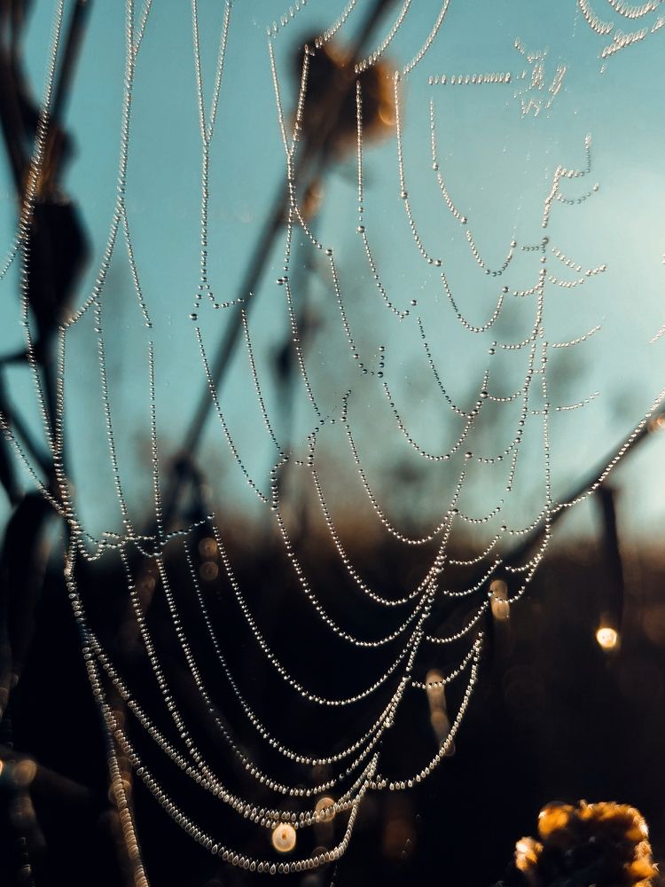 Photograph by Ольга Вороная