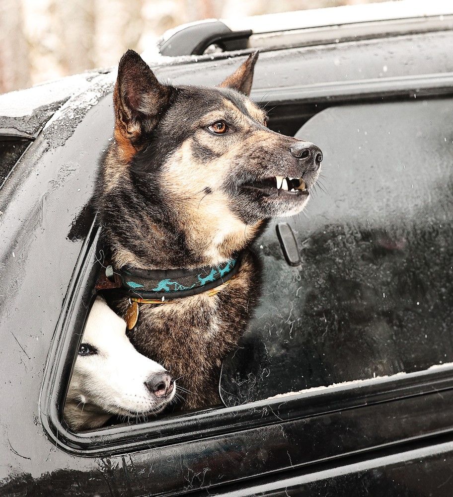 Photograph by Елена Одынец