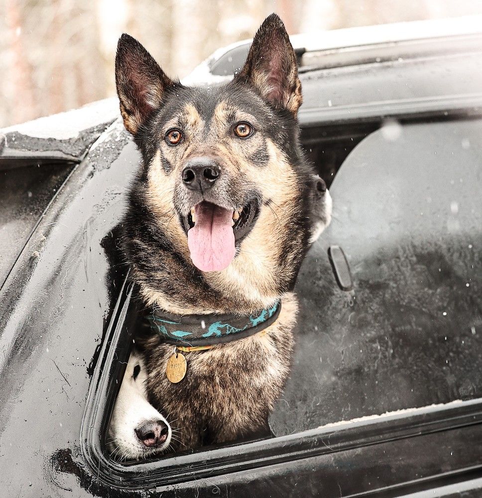 Photograph by Елена Одынец