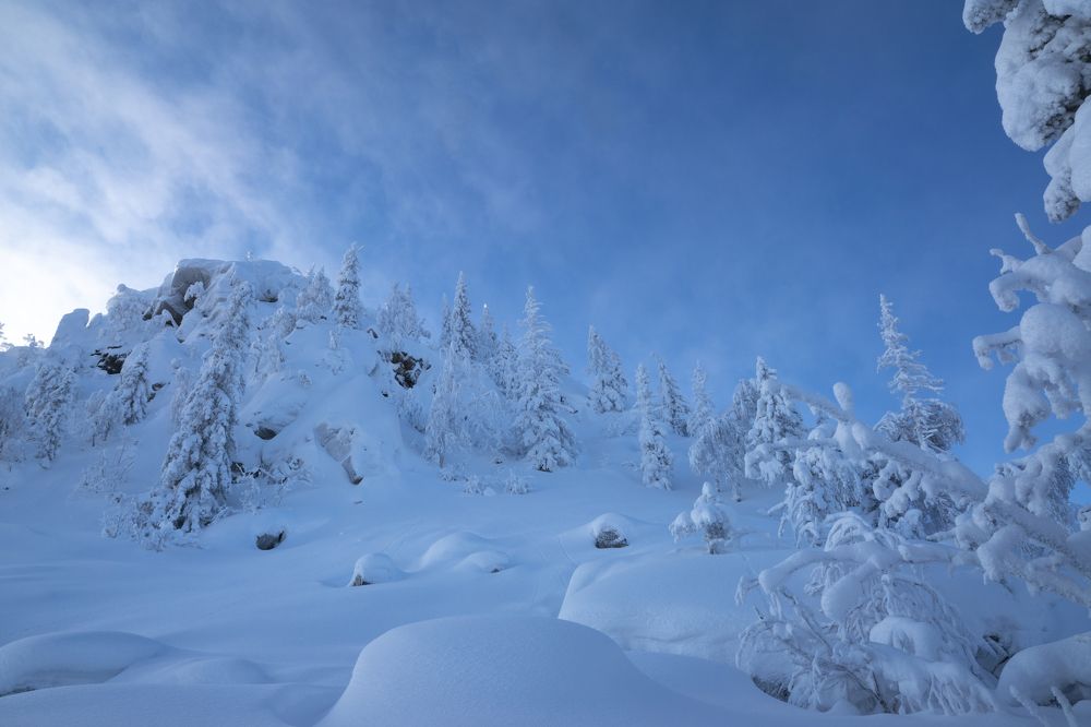 Photograph by Меркулова Наталья Геннадьевна