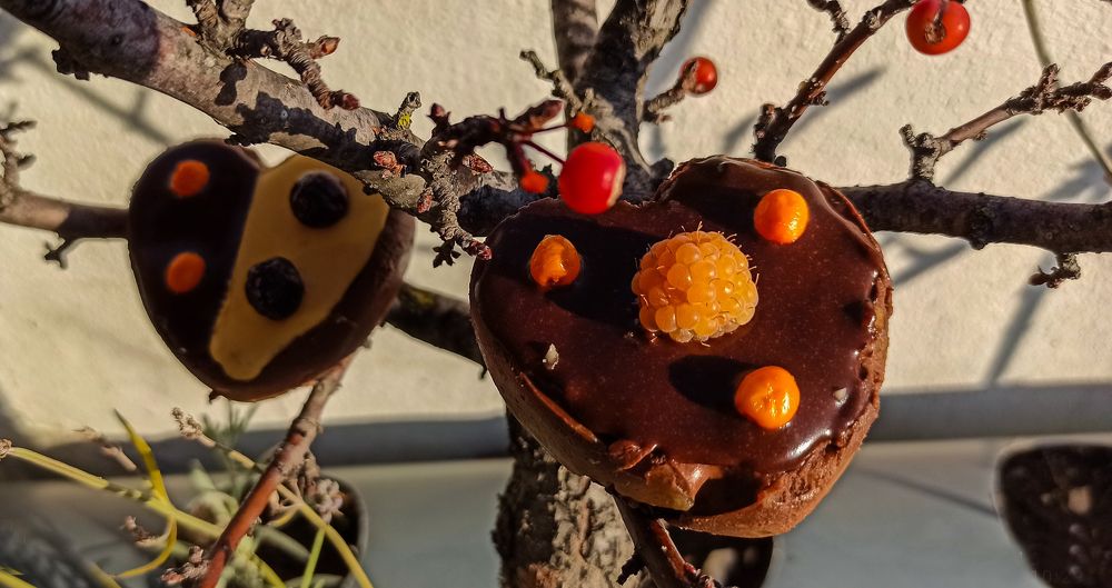 Photograph by Андрей Савёлов