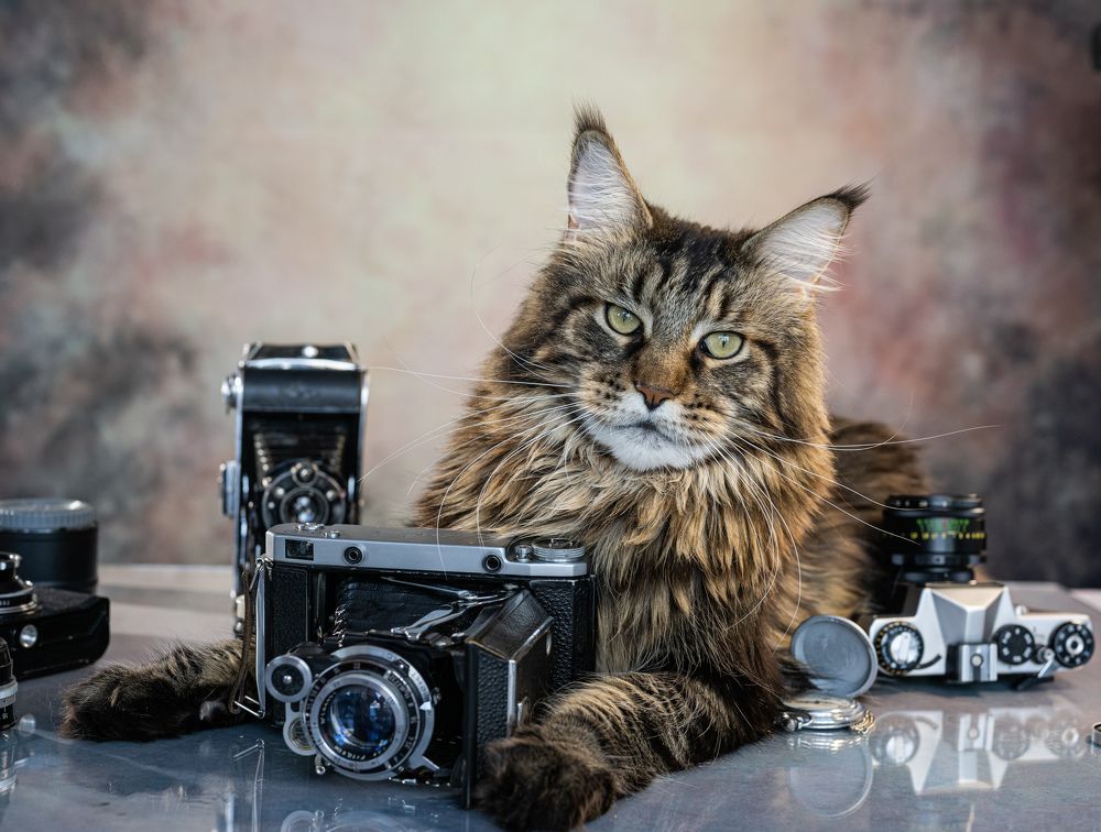 Photograph by NADEZHDA PELYMSKAIA