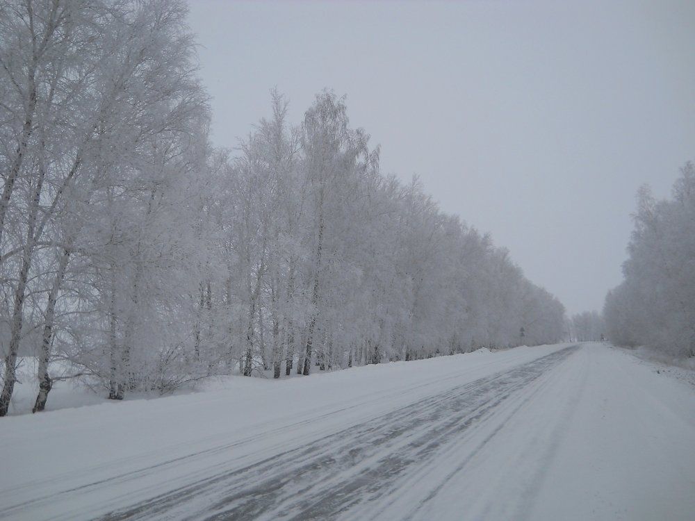 Photograph by албакова антонина петровна