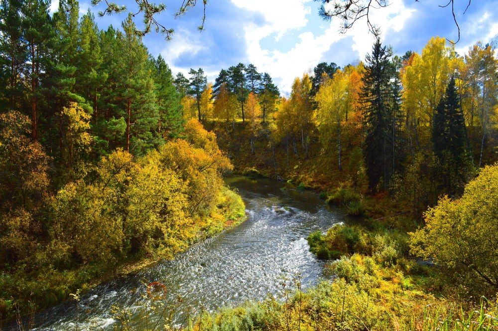 Бурная река