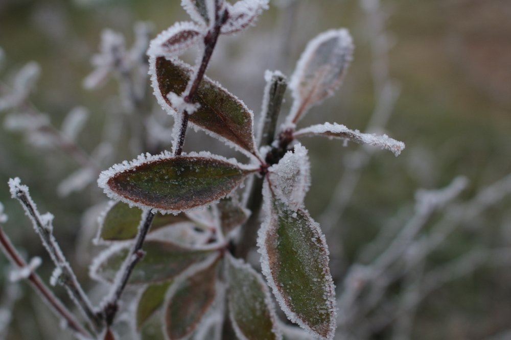 Photograph by Александра Батова