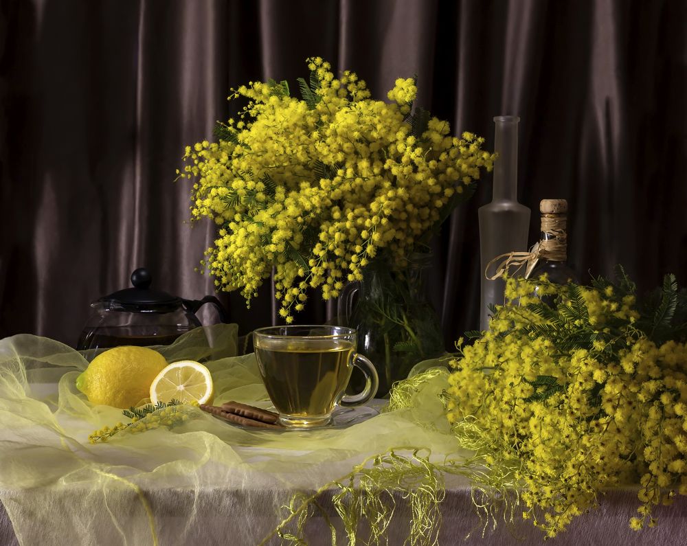 Натюрморт с мимозой