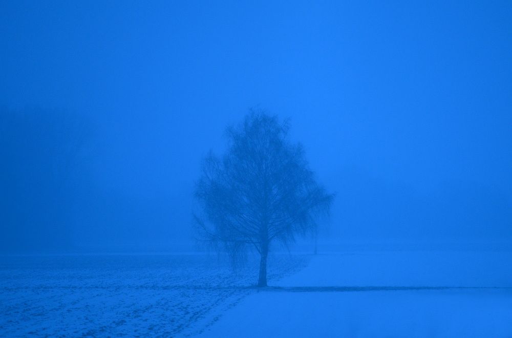 Природа рисует