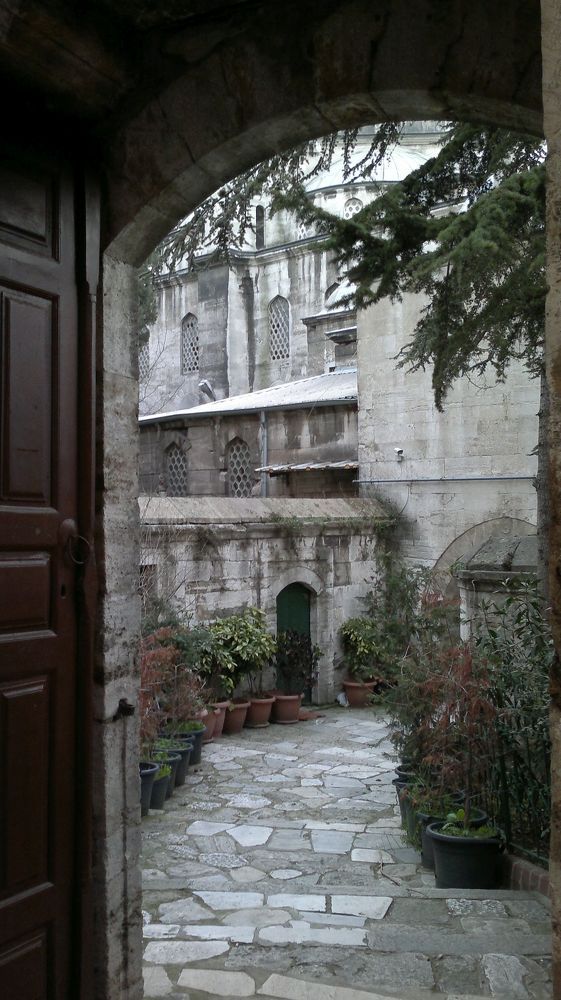 скрытный двор