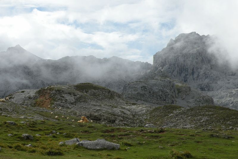Aleksandr Barsukov, Estonia