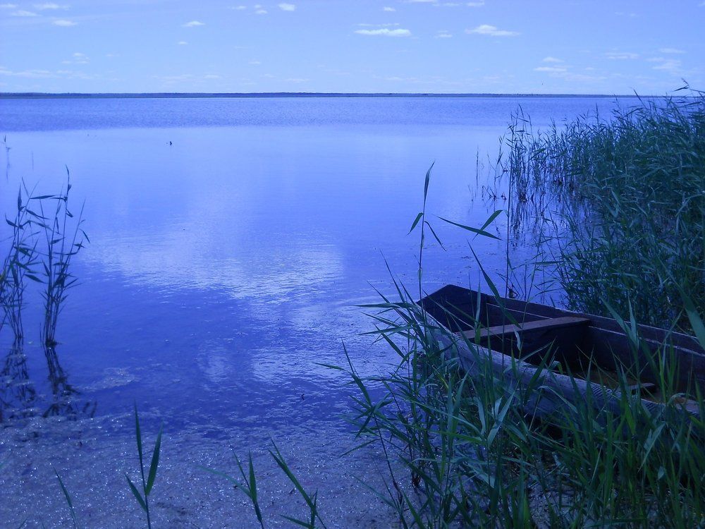 Photograph by албакова антонина петровна