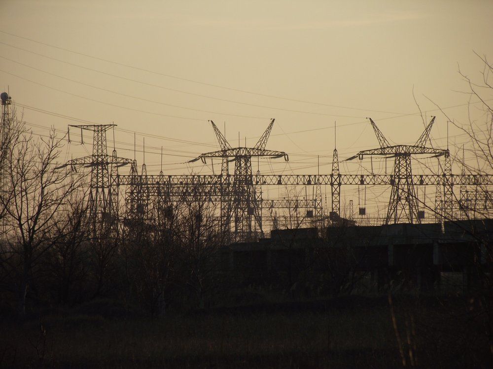 Photo #1046373