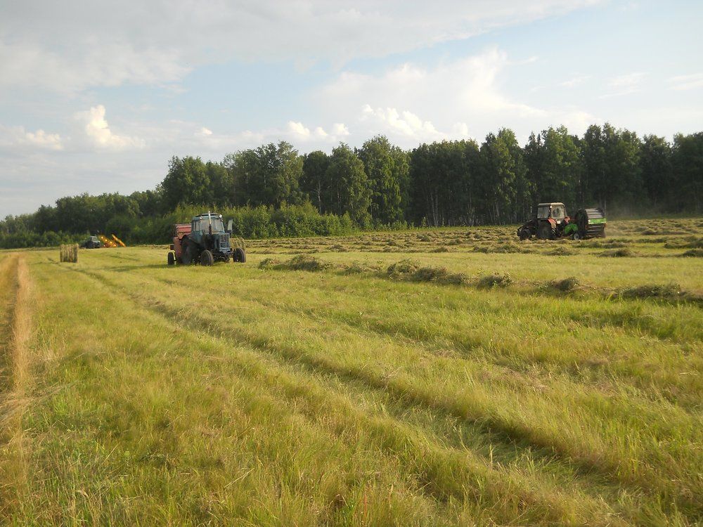 Photograph by албакова антонина петровна