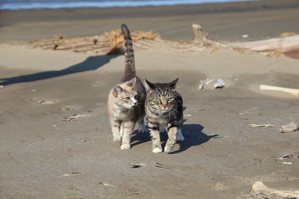 Photograph by Игорь Паутов