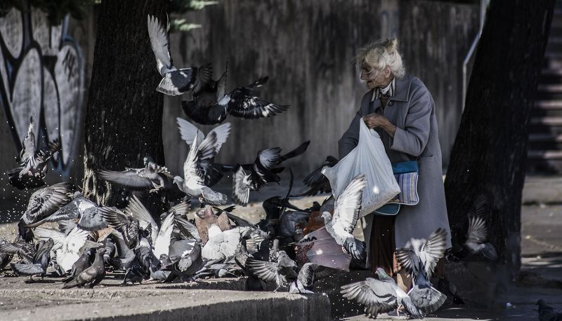 Nikita Shevcov, Lithuania