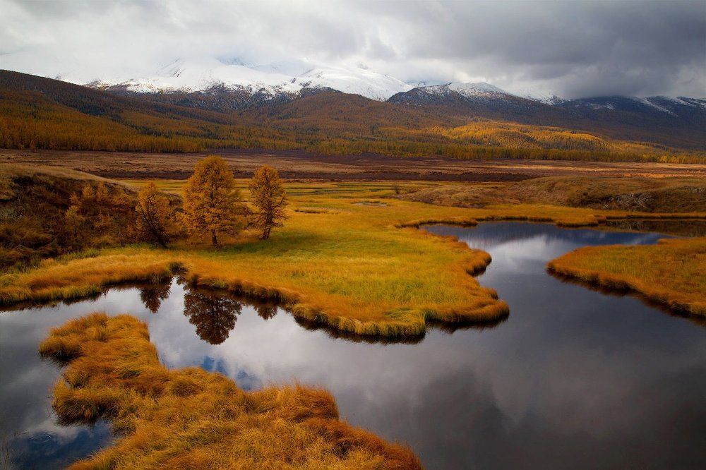 Игра в отражения.