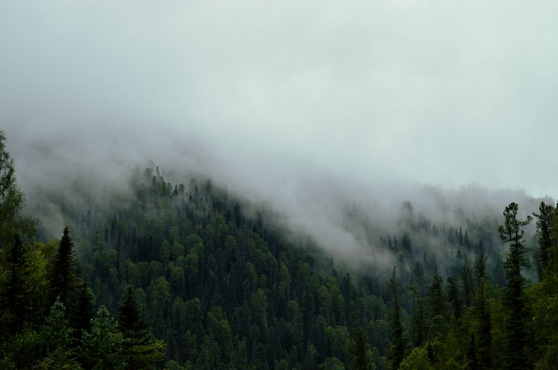 Антонина, Russia