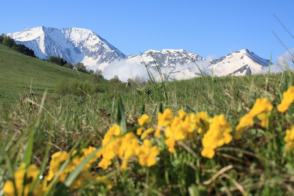 В горах Адыгеи