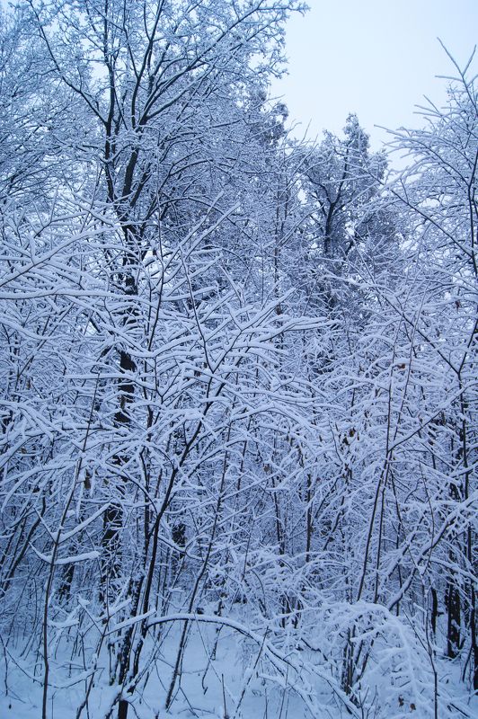 Сергей, Russia