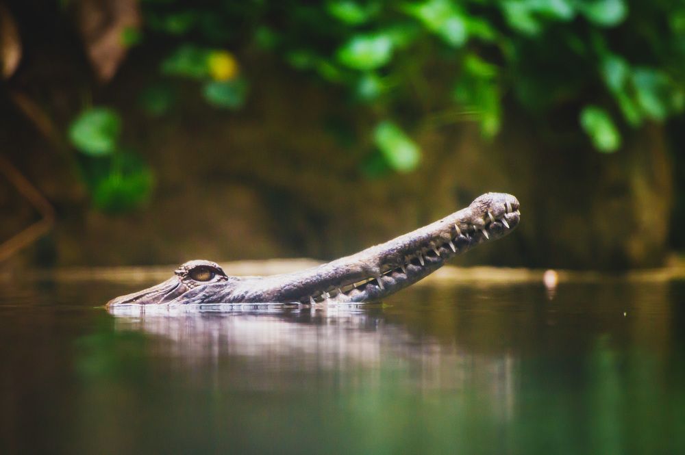 Photograph by Sergey