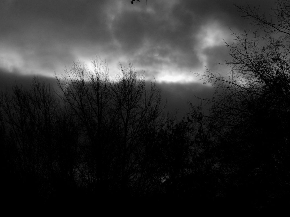 Осенний облик