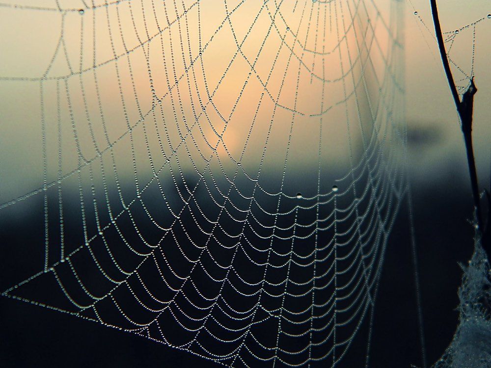 утром туманным...