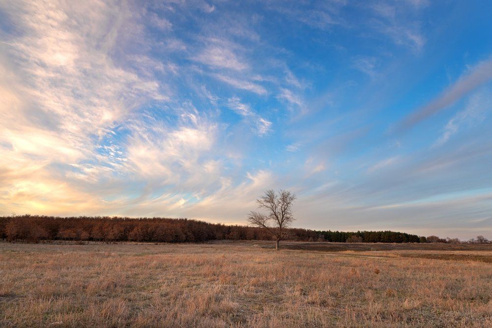 безмятежность