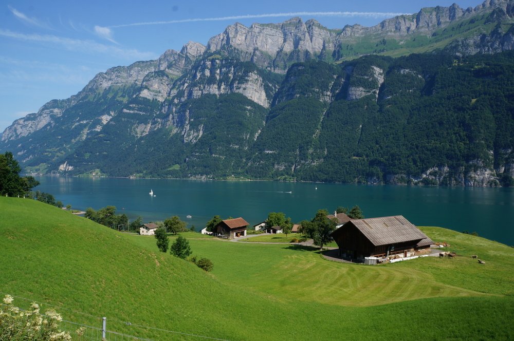 И д и л л и я ...