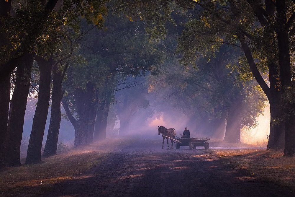 По нехоженым тропам протопали лошади, лошади, Неизвестно к какому концу унося седоков.
