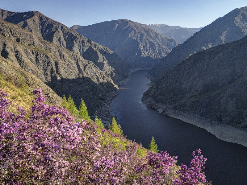 Лещёнок Александр, Russia