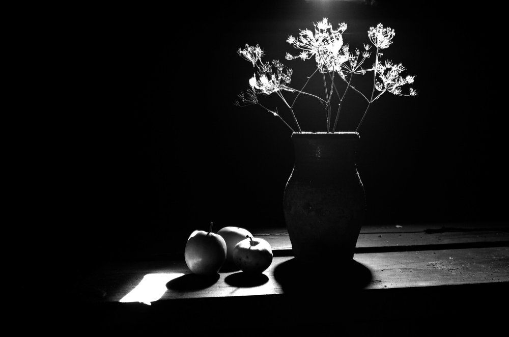 Photograph by Екатерина Чарина