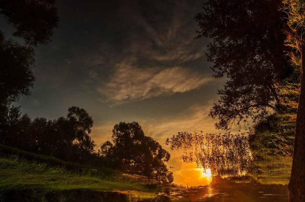 Перевертыши