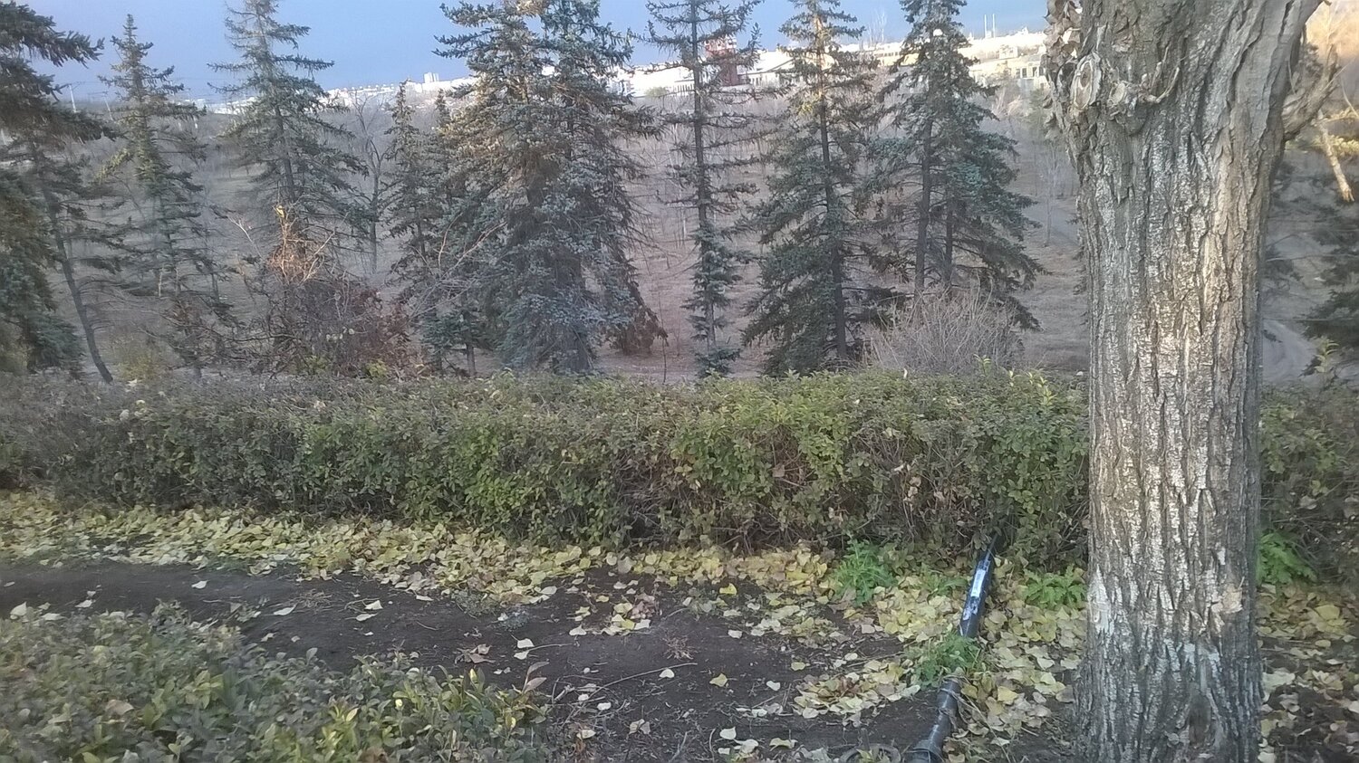пейзаж города-героя!!