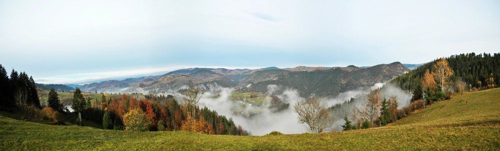 Transilvania