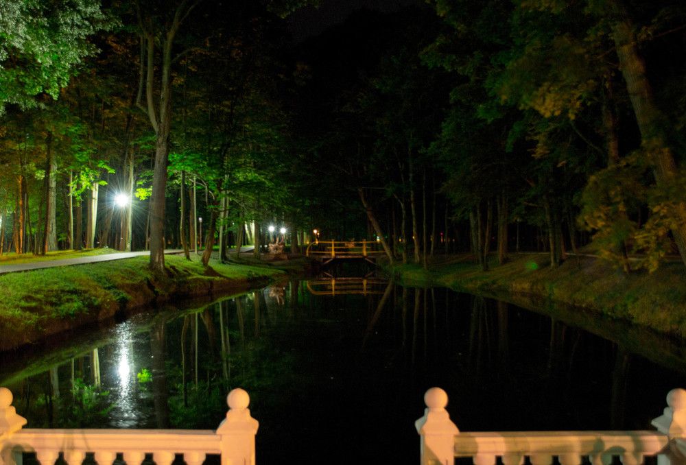 Романтический пруд