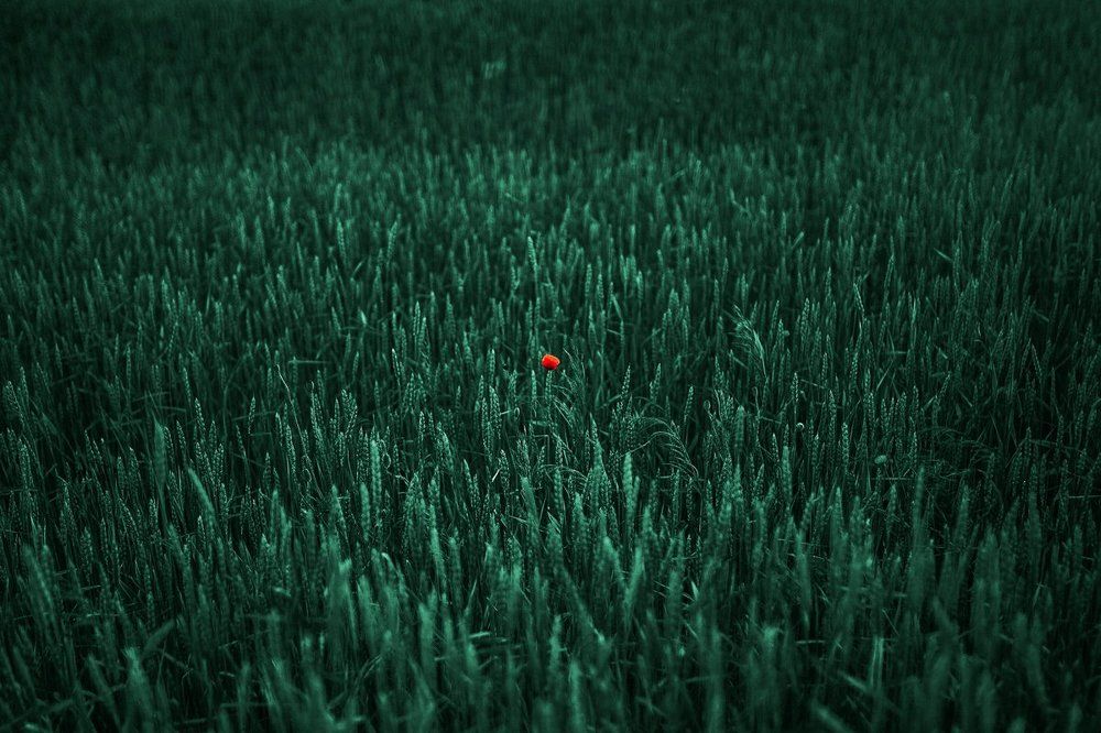 индивидуальность