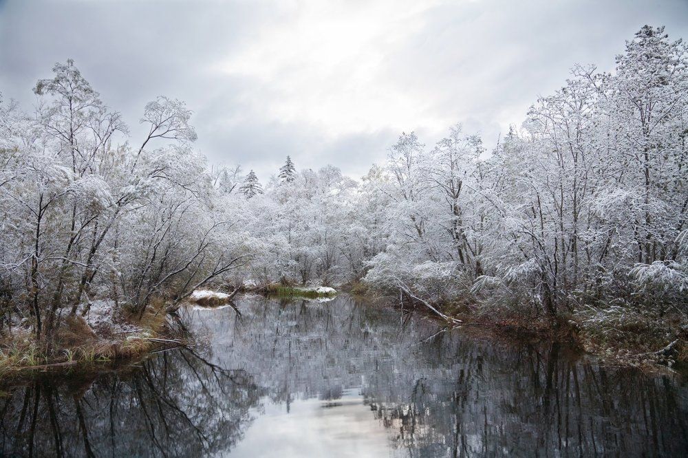 Сонная лощина